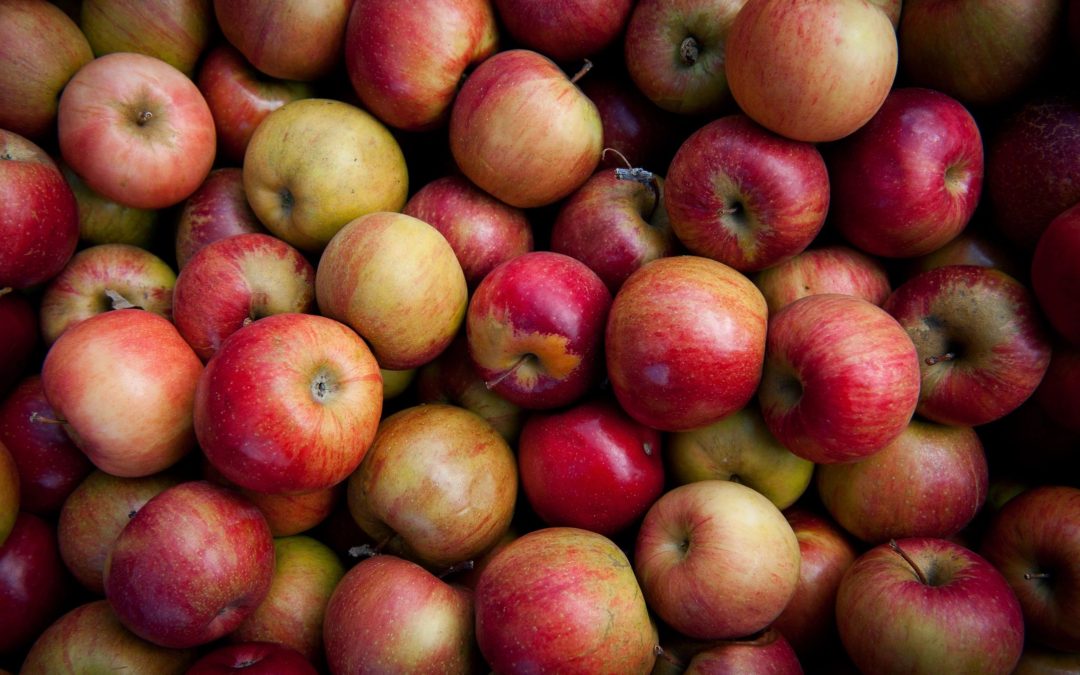 A Single Bite at the Apple: The Board’s Discretion to Deny Institution under § 314(a)