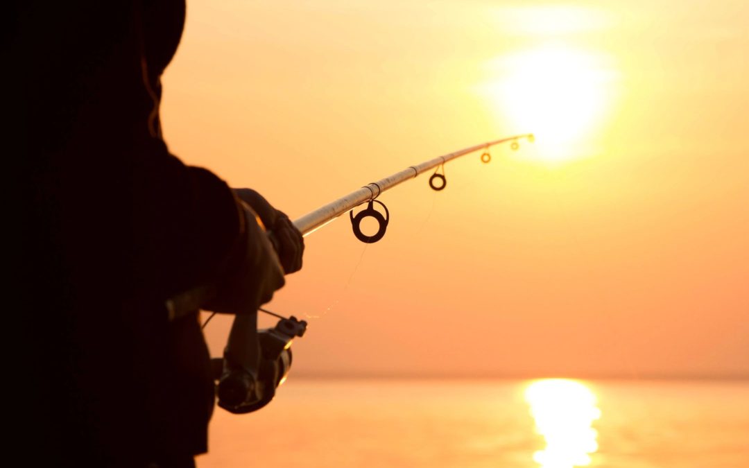 Picture of person fishing for Fisher & Paykel article about analogous arts test