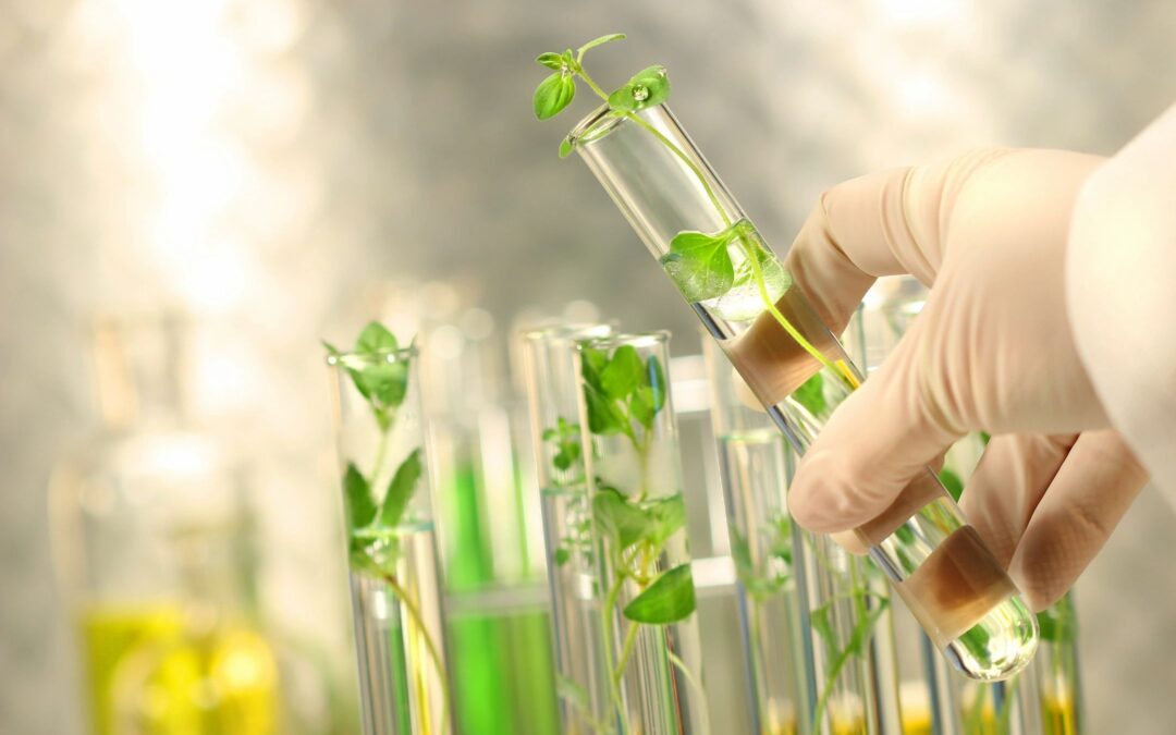 PTAB Denies Institution of Maize-Directed PGR